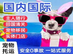 巴中恩阳机场邮寄国际宠物托运 【国